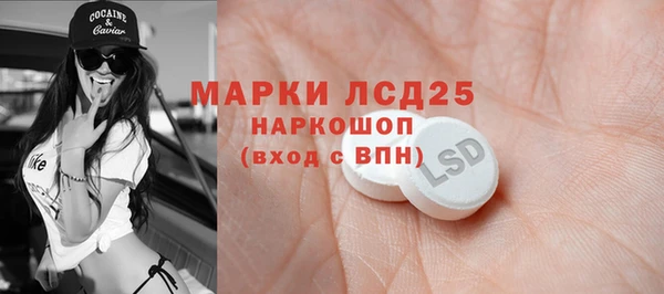 молекула духа Аркадак