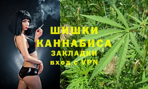 молекула духа Аркадак