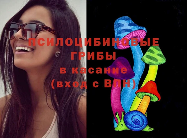 молекула духа Аркадак