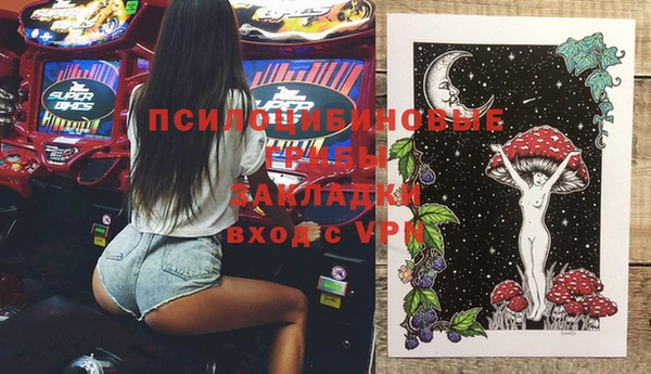 PSILOCYBIN Армянск