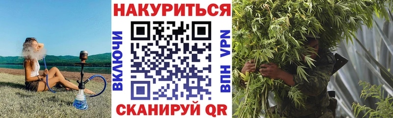 Купить  Новоаннинский  Каннабис план 